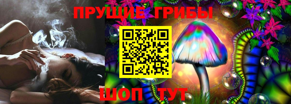 Волжский  Псилоцибиновые грибы GOLDEN TEACHER  Вход с VPN 